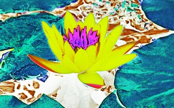 F 028A